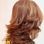 خدمات اموزش  کوتاهی مو  شاهین شهر