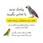 کلینیک پرندگان