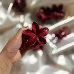 آرایشی و اکسسوری ندا قاسم پور