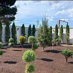 خدمات باغبانی هرس کاری صاحبدل