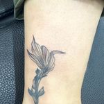 مرکز تخصصی تتو بدن و آرایش دائم فرشته