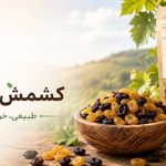 فروشگاه اينترنتی آكزين كالا