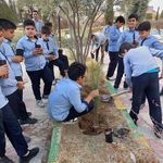 دبستان و پیش دبستانی البرز مرودشت