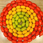 تولید کننده محصولات پروتئینی