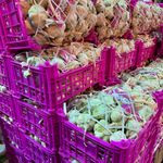 بازرگانی فارم پلاس