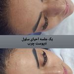 خدمات تخصصی ودرمانی با سلولهای بنیادی