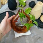 دکوری سروان