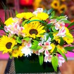 گل و گیاه الین