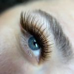 خدمات مژه ماهی مون