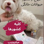 بیمارستان دامپزشکی هلسی پت