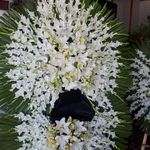 گل فروشی دنیز (آنلاین) -ارسال فوری