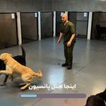 کلینیک دامپزشکی هتل پانسیون و پت شاپ هپت
