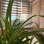 باشگاه بدنسازی جیم یو(بانوان)