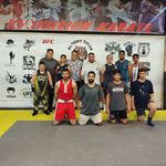 کلاب بوکس شاهین