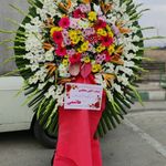 گل فروشی دنیز آنلاین (شعبه 2)