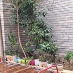 آموزش نقاشی و طراحی کایگا
