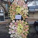 گل فروشی دنیز آنلاین (شعبه 2)