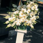 گلفروشی ویوا