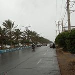 کافی نت سورن