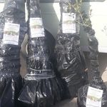 نهالستان طبیعت مهندس میرزایی