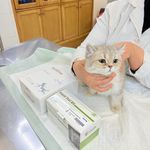 درمانگاه دامپزشکی های پت