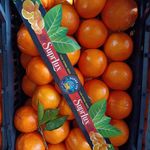 میوه فروشی ارسلان