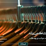 فروشگاه اینترنتی مری‌لند