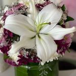 آرایشگر لیلا میرزایی