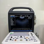 کلینیک دامپزشکی و پت شاپ نیکان