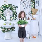 آتلیه عکاسی محشر