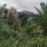 باغ رستوران لوکس کاتریا