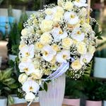 گل فروشی آندیا (شعبه یک)