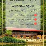 تور گردشگری