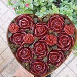 فروشگاه لواشک رهنما(خرید حضوری)