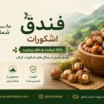 فروشگاه اينترنتي آكزين كالا