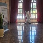 شرکت سمپاشی شیمی گستر