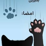 پتشاپ گربه سیاهه