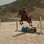 آموزش سوارکاری پرهام