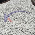 شرکت توسعه کیمیای شرق صدرا