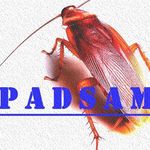 سمپاشی حشرات و مبارزه با جانوران موذی