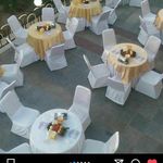 ظروف کرایه و تشریفات مجالس دورهمی