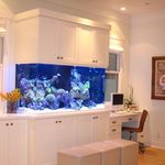 اکواریوم رادمان