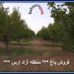 مشاور سرمایه گذاری تخصصی و رایگان