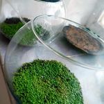 گل روبانی و باکس کادویی گلی