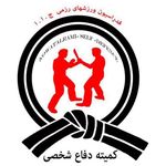 کلاس های آموزش دفاع شخصی