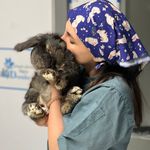 بیمارستان دامپزشکی شبانه روزی درنیکا