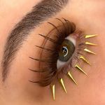 اکستنشن مژه و لیفت و لمینت مژه و ابرو