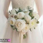 نانالند