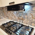 ام . دی .اف فرجی