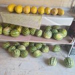 میوه فروشی